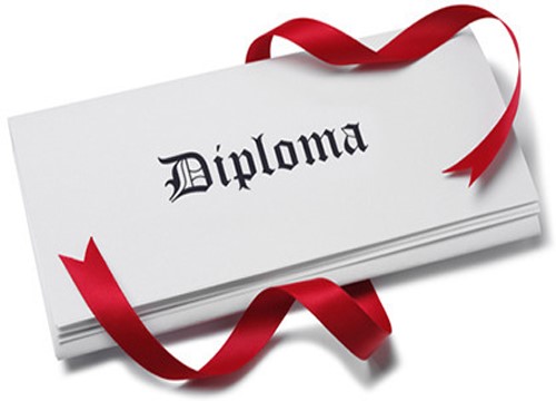 Diploma as Project Manager