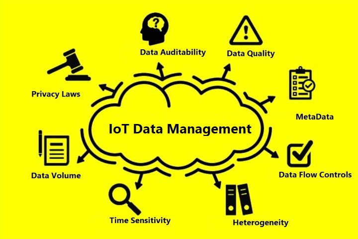 IoT Data Management